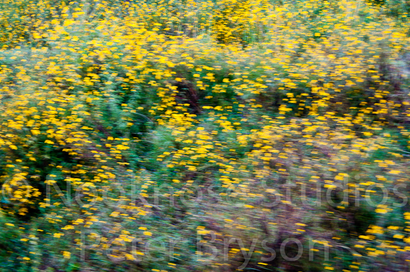 African Abstracts  08